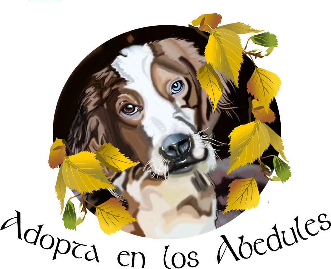Adopta en los Abedules